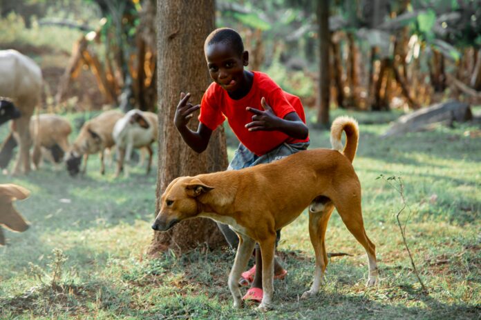 Afrikalı çocuk ve köpek